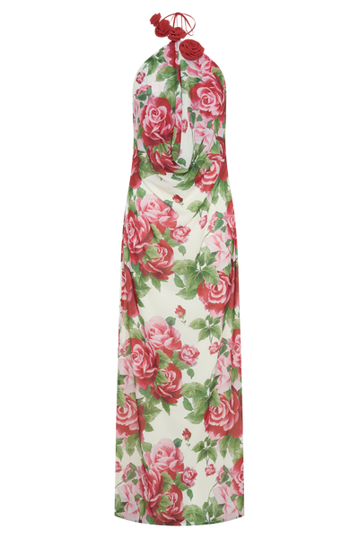 Rosalia Cowl Neck Maxi Dress - Sonia Rose Print